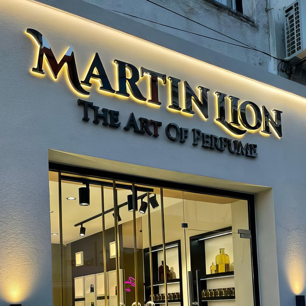 LED Channel Letters Business Advertising Sign